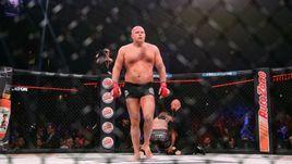 Федор Емельяненко.