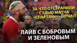 За что отстранили судью матча "Спартак" – "Сочи"? Экспертный разбор