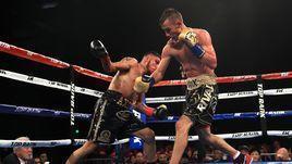 Что происходит в боксе? Кто виноват в смерти Дадашева?