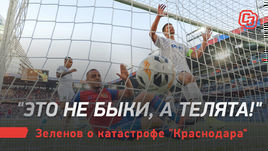 «Это не быки, а телята!». Зеленов о катастрофе «Краснодара»