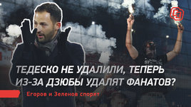 Тедеско не удалили, теперь из-за Дзюбы удалят фанатов? Егоров и Зеленов спорят