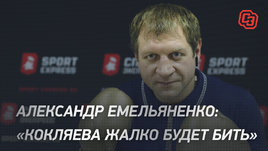Александр Емельяненко: «Кокляева будет жалко бить»
