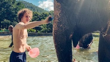 Алекс Крал.