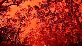 Мельбурн в дыму. Что ждет участников Australian Open