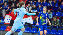 В «Норманочку» пригласили бразильяночку