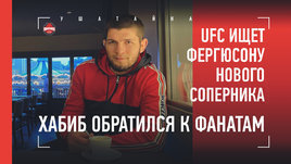 «UFC ищет Фергюсону нового соперника». Хабиб обратился к фанатам