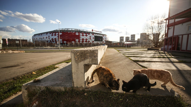 Стадион «Динамо». Фото Дарья Исаева, «СЭ» / Canon EOS-1D X Mark II Стадион «Динамо». Фото Дарья Исаева, «СЭ» / Canon EOS-1D X Mark II
