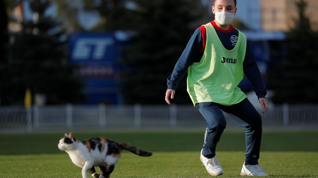 Кошка едва не помешала футбольному матчу в Белоруссии