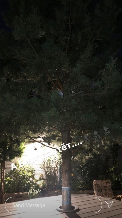 Instagram Быстрова. Instagram Быстрова.