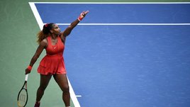 «Если Серена выиграет US Open — это будет ужасно». Известный психолог — о шансах Медведева и работе с Шаповаловым
