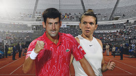 «Горите в аду, женоненавистники!» Джоковичу заплатили на турнире в Риме на 10 евро больше, чем Халеп