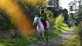 Еще один шаг вперед. В Подмосковье прошли крупные соревнования по конным пробегам