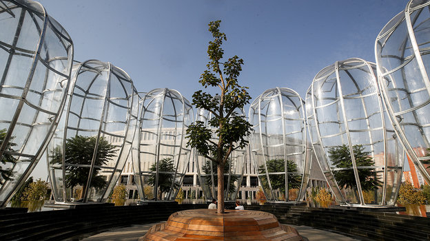 Паряк рядом со стадионом «Краснодар». Фото Дарья Исаева, «СЭ» / Canon EOS-1D X Mark II Паряк рядом со стадионом «Краснодар». Фото Дарья Исаева, «СЭ» / Canon EOS-1D X Mark II