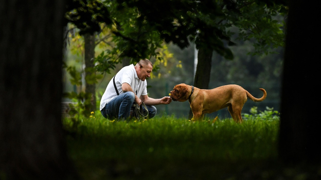 Есть чем гордиться и российским фармацевтам. Есть чем гордиться и российским фармацевтам.