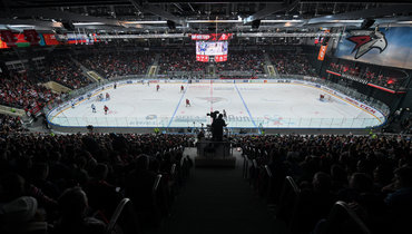 Арена Балашиха. Общий вид.