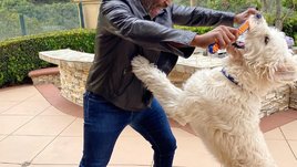 У Тайсона была статуя Александра Македонского. Журналист сказал ему, что тот был геем, но Майк красиво выкрутился