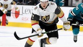 Один из самых странных русских хоккеистов. Попался на допинге, стал изгоем в Америке и вместо КХЛ поехал во вторую лигу Швеции