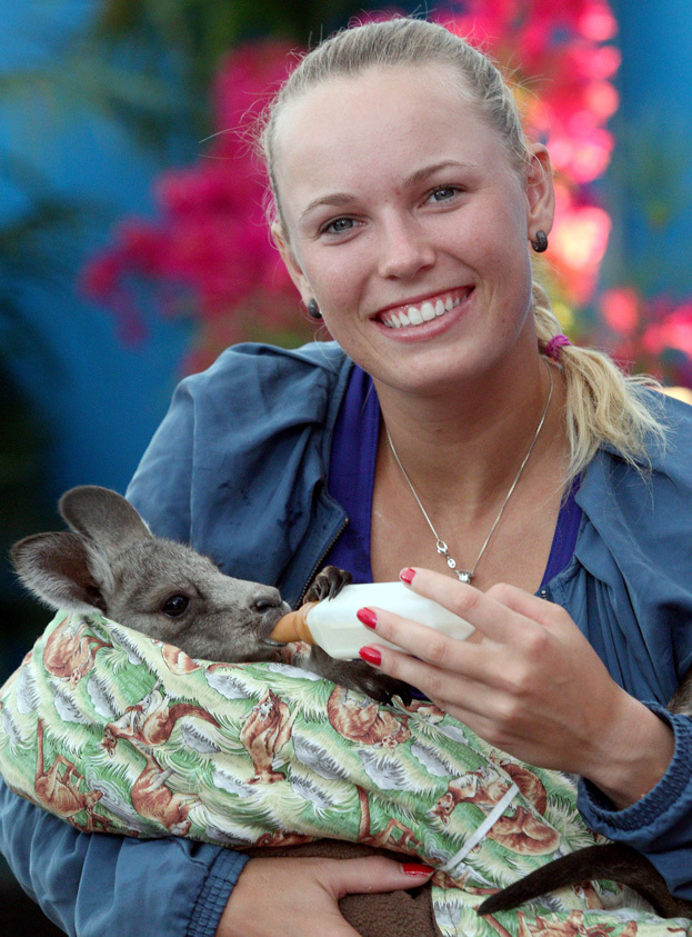 Каролин Возняцки. Фото AFP Каролин Возняцки. Фото AFP