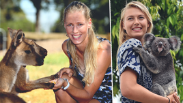 Звезды тенниса, кенгуру и коалы. Шарапова с ними обнималась, Возняцки — кормила молоком