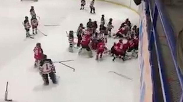 Массовая драка на детском турнире. Фото Life. Массовая драка на детском турнире. Фото Life.