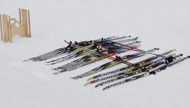 Кто виноват в гибели участника Авачинского марафона после столкновения с деревом у трассы?