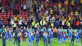 «Всякие повылетали, а Украина — еще нет». Украинские болельщики, политики и звезды — о победе над Швецией