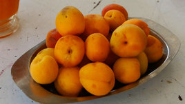 Как часто можно есть абрикосы? Вред и польза сезонного фрукта