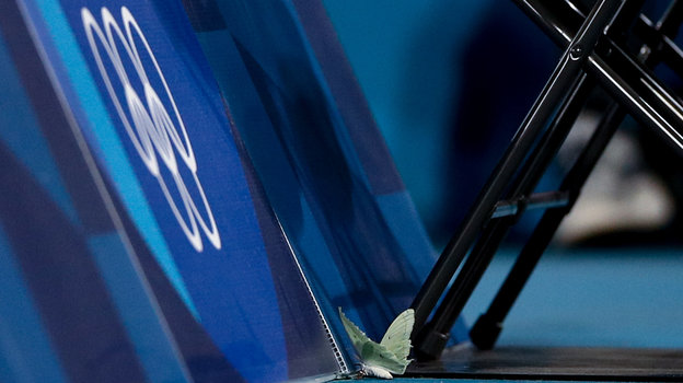 Бабочка на корте во время финального матча россиян.