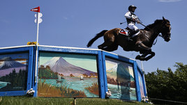 Коня, выступавшего в Токио-2020, убили из-за травмы. Защитники животных — в ярости