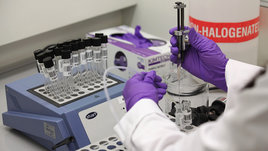 У России снова требуют антидопинговую базу. До «часа икс» остался всего год