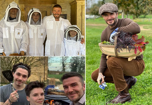 Дэвид и Виктория Бекхэм с детьми. Фото Instagram Дэвид и Виктория Бекхэм с детьми. Фото Instagram