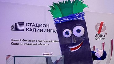 У стадиона в Калининграде появился маскот — бетонная свая Эдик. Мы поговорили с его создателем