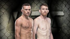 UFC 267: Ян победил Сэндхагена, Махачев финишировал Хукера. Тейшейра стал чемпионом в 42 года