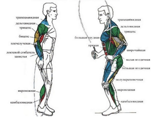 Упражнения со скакалкой. Упражнения со скакалкой.