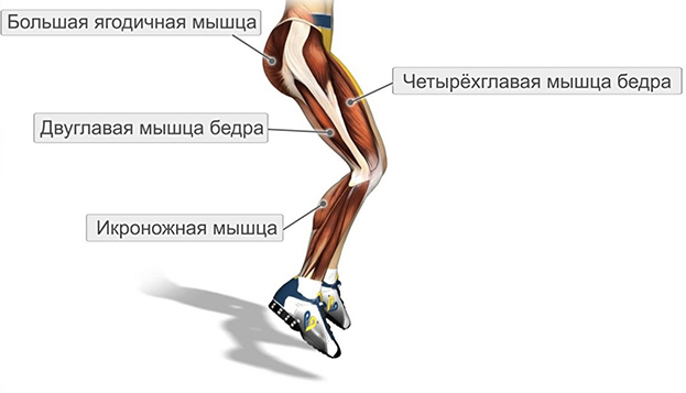 Прыжки на месте. Прыжки на месте.
