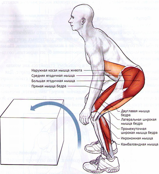 Прыжки на месте. Прыжки на месте.