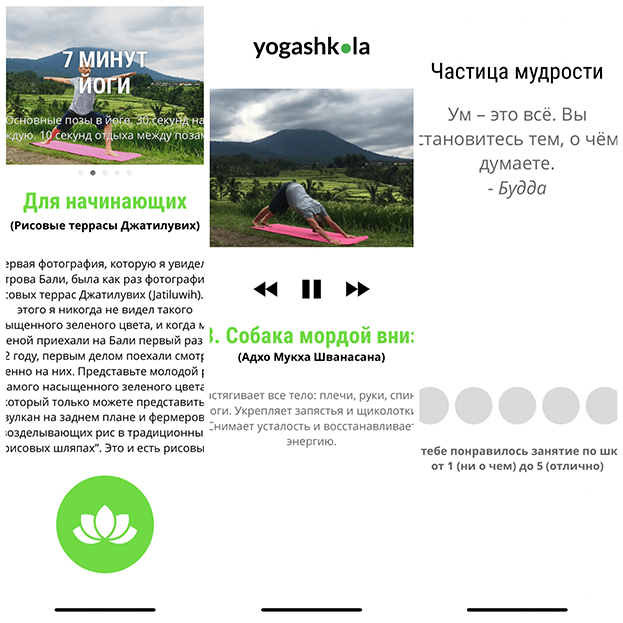 Йога 7. Йога 7.