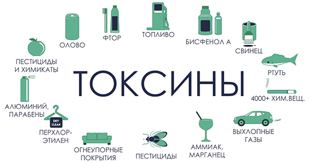 Токсины. Токсины.