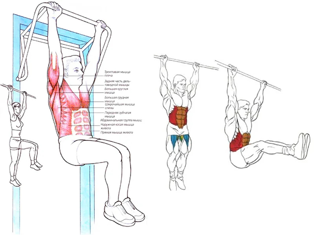 Упражнения для пресса. Упражнения для пресса.