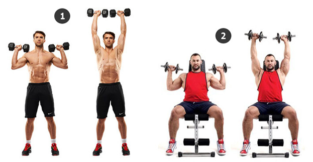 Жим гантелей стоя и сидя. Жим гантелей стоя и сидя.