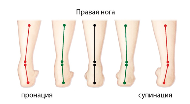 Растяжка стоп. Растяжка стоп.