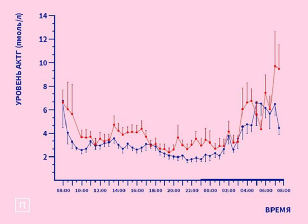 Как тренироваться зимой. Фото postnauka.ru Как тренироваться зимой. Фото postnauka.ru