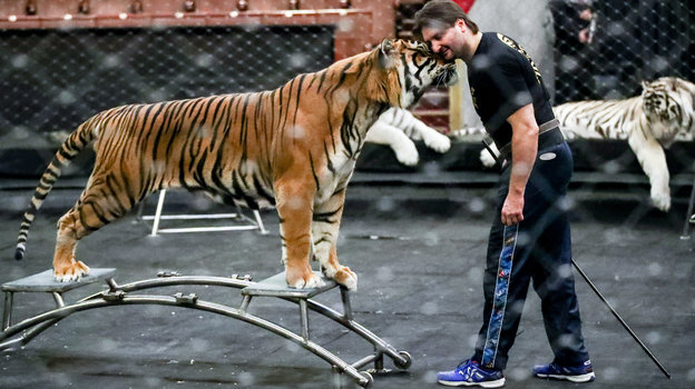 Эдгар Запашный. Фото Дарья Исаева, «СЭ» / Canon EOS-1D X Mark II Эдгар Запашный. Фото Дарья Исаева, «СЭ» / Canon EOS-1D X Mark II