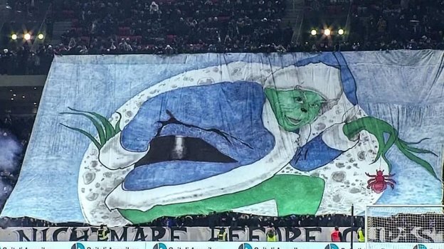 Перформанс болельщиков. Перформанс болельщиков.