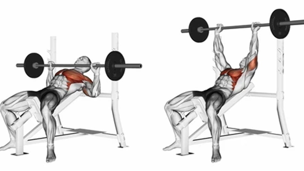 Жим лежа на наклонной скамье. Жим лежа на наклонной скамье.