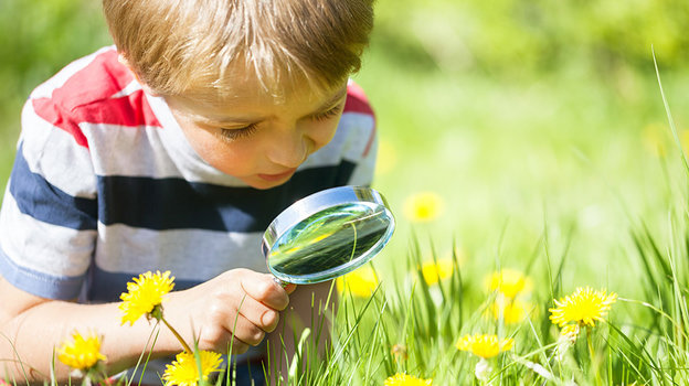 Тренируйте наблюдательность. Тренируйте наблюдательность.