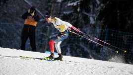 Норвежцы хотят заставить всех бегать на одинаковых лыжах. Революционное предложение