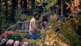 Камерная сказка для всех. Зачем взрослым смотреть очередную подростковую мелодраму «Небо повсюду»