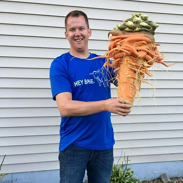 Самая тяжелая морковь. Самая тяжелая морковь.