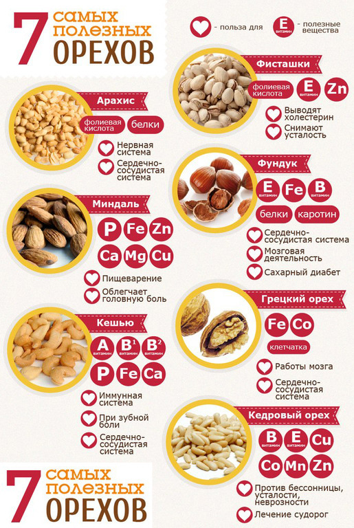 Топ-7 самых полезных орехов. Фото tortsnab-msk.ru Топ-7 самых полезных орехов. Фото tortsnab-msk.ru
